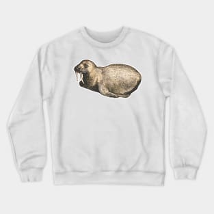 Baby walrus Crewneck Sweatshirt